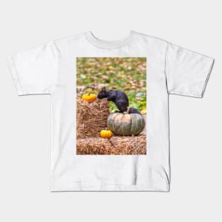 Squirrel examines a small orange pumpkin Kids T-Shirt